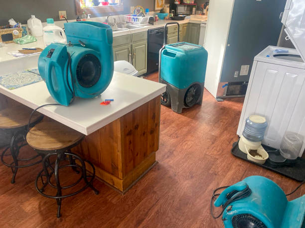 Best Ceiling water damage repair  in Laurinburg, NC