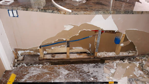Best Professional water damage repair  in Laurinburg, NC
