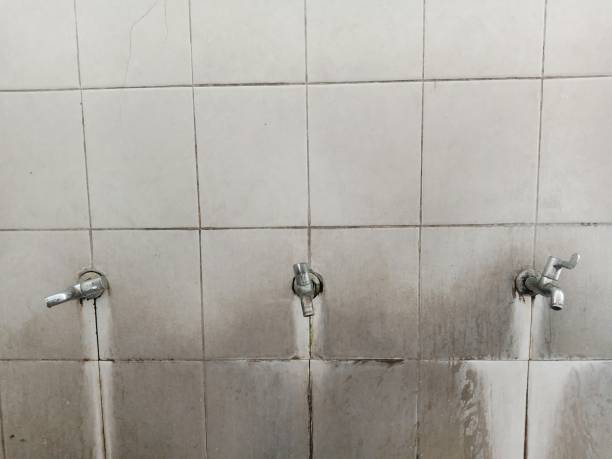 Best Water damage contractors near me  in Laurinburg, NC